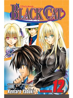 cover image of Black Cat, Volume 12